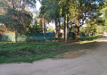 DR. ULIBARRIE Y M DE CERVANTES, SANTO TOME